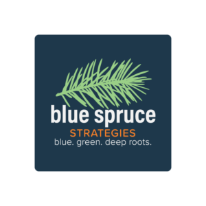 Spot On Logo Design: Blue Spruce Strategies